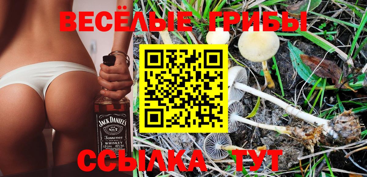 Псилоцибиновые грибы мухоморы Саянск