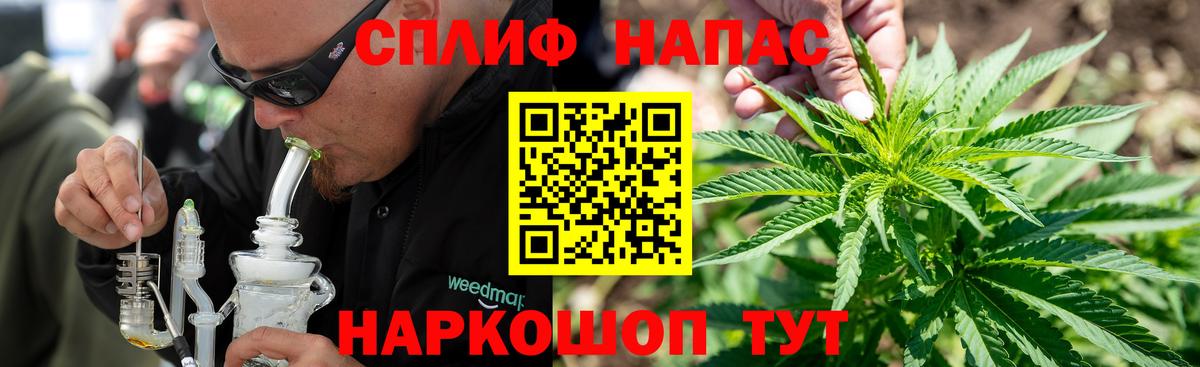 Бошки Шишки конопля Саянск